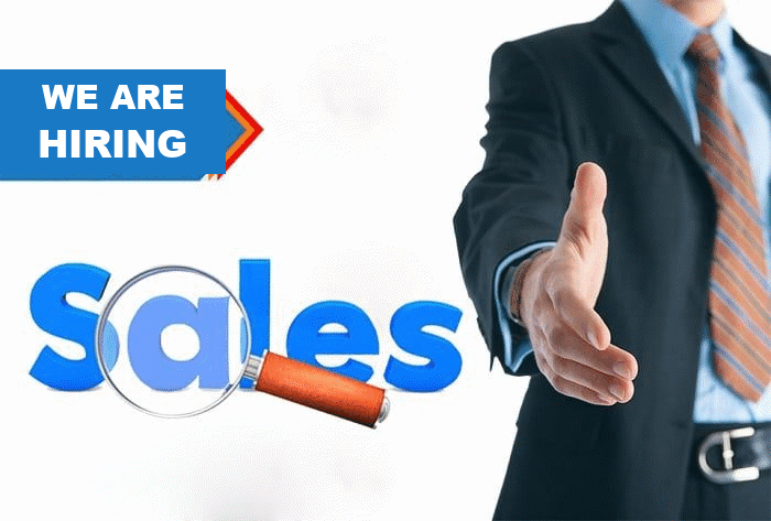 We are hiring a B2B business development executive