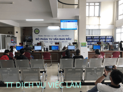 Public administration